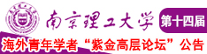 逼被日烂了南京理工大学第十四届海外青年学者紫金论坛诚邀海内外英才！